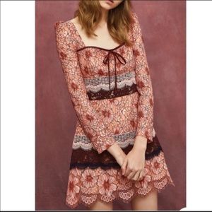 Foxiedox Lace Dress 4